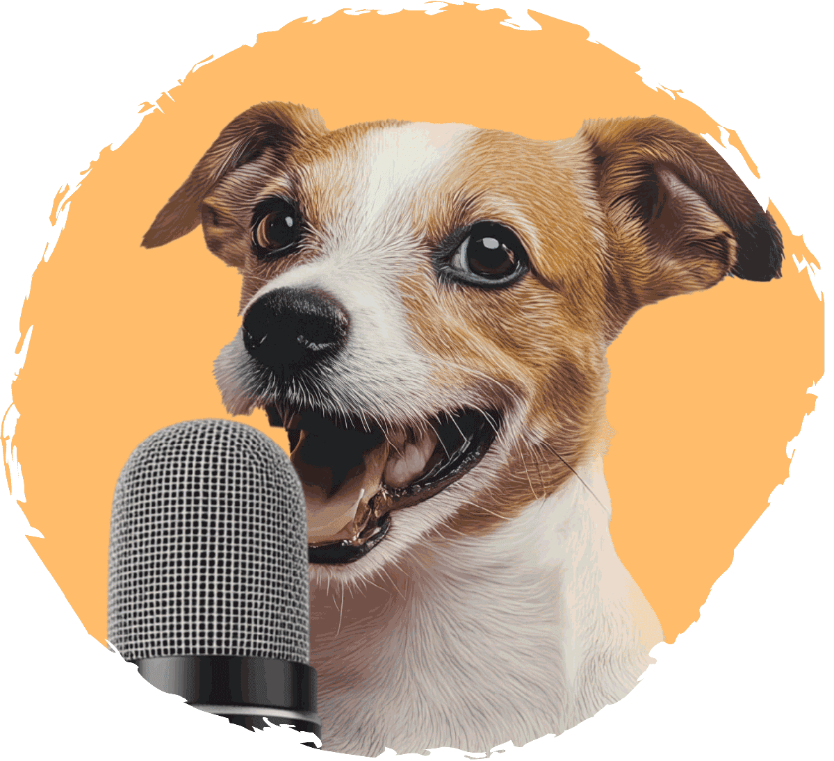 concurso de protectoras